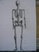 anatomie člověka náčrty tužka na čtvrtce A3 (1)